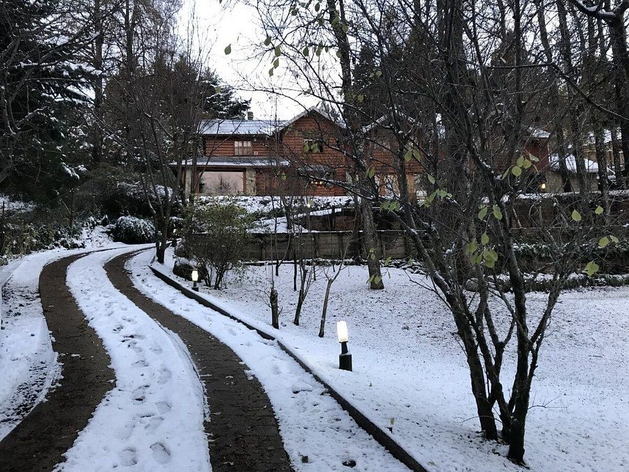 Cabaña Cabaña rodeada de bosque nativo para 12 c parrilla en Alihuen Alto, foto 7