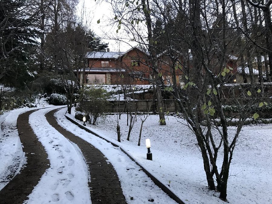 Cabaña Cabaña rodeada de bosque nativo para 12 c parrilla en Alihuen Alto, foto 40