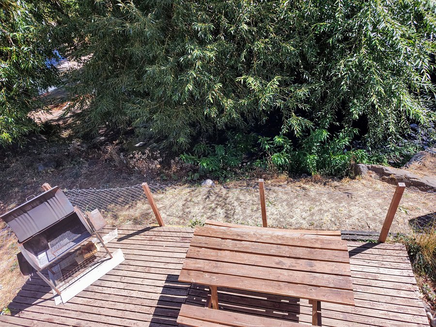 Cabaña Cabaña soñada sobre el arroyo con dos dormitorios en Centro, foto 25