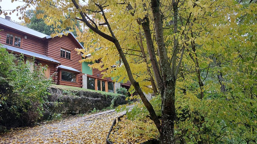 Cabaña Cabaña rodeada de bosque nativo para 12 c parrilla en Alihuen Alto, foto 5