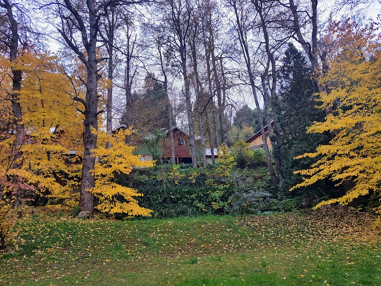 Cabaña rodeada de bosque nativo para 12 c parrilla