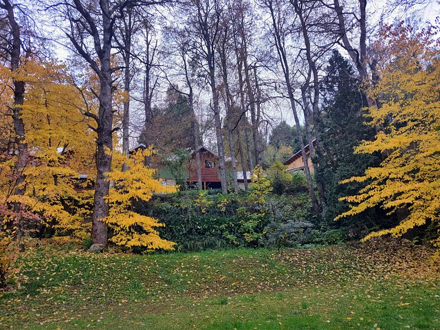 Cabaña Cabaña rodeada de bosque nativo para 12 c parrilla en Alihuen Alto, San Martín de los Andes