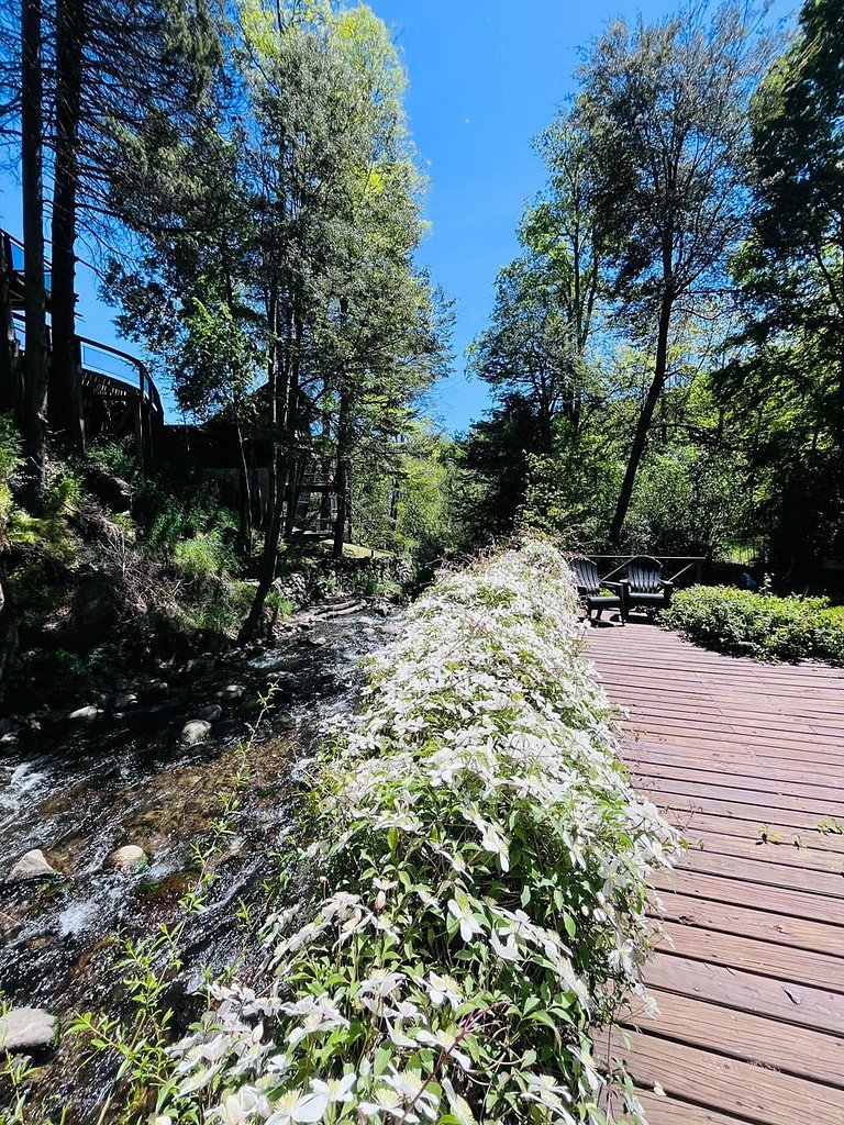 Casa con costa De Arroyo