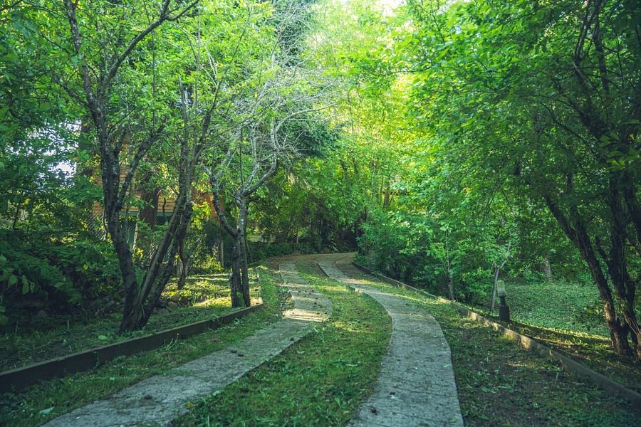 Cabaña Cabaña rodeada de bosque nativo para 12 c parrilla en Alihuen Alto, foto 41