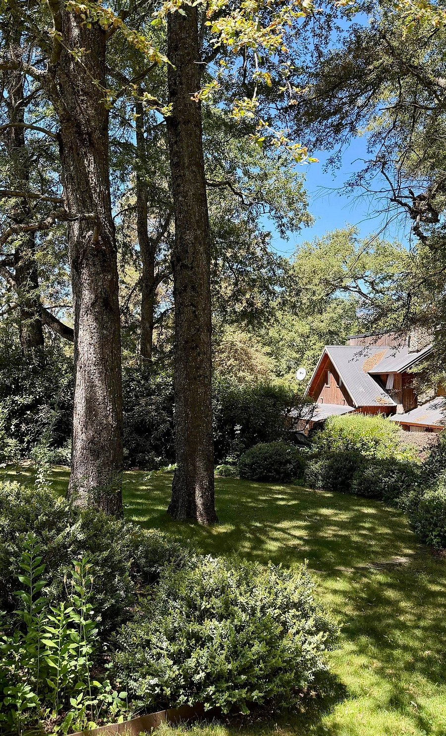 Casa Refugio del Bosque: Paz y Confort a 5 minutos del Centro en Altos del Sol, foto 38