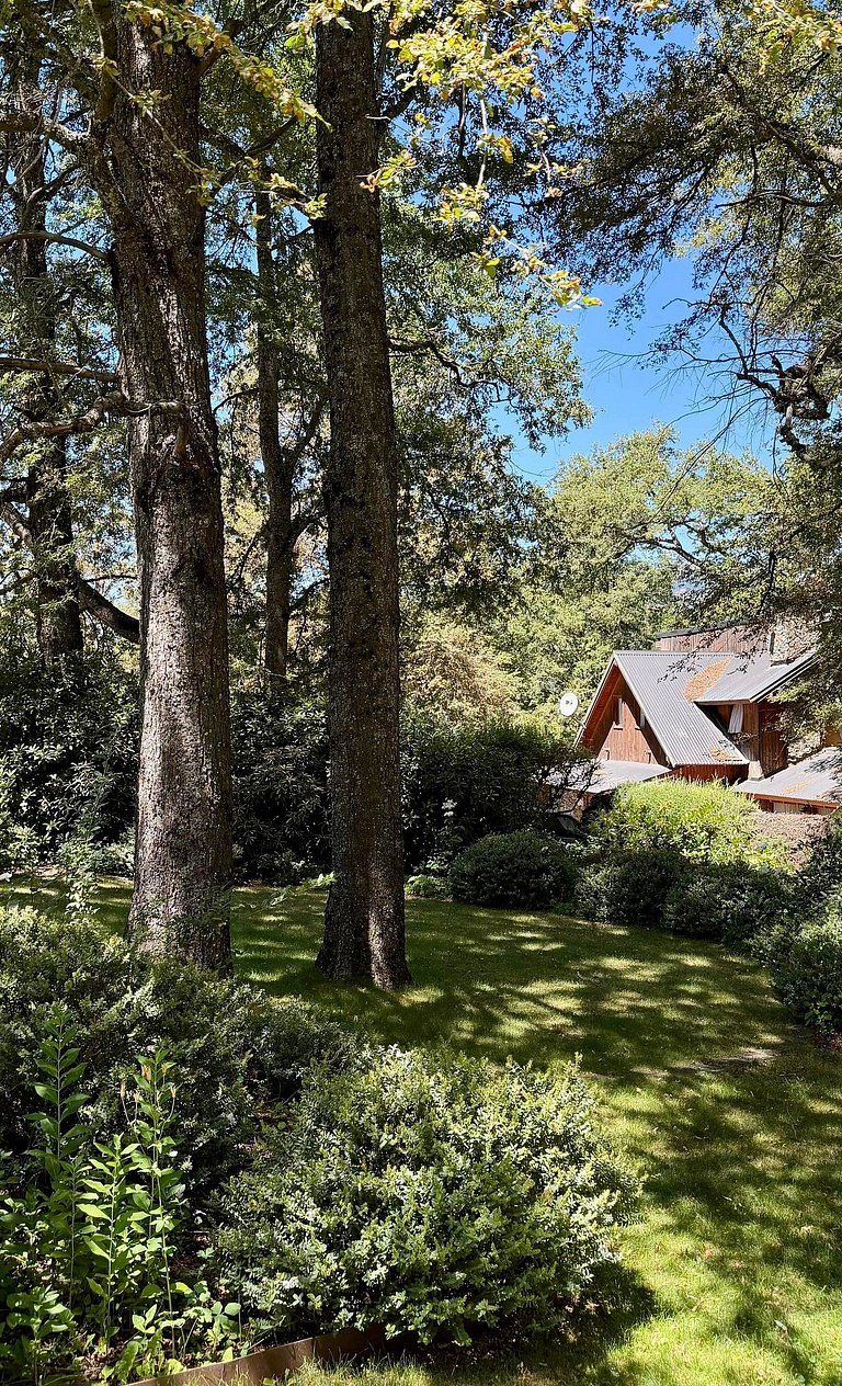 Refugio del Bosque: Paz y Confort a 5 minutos del Centro